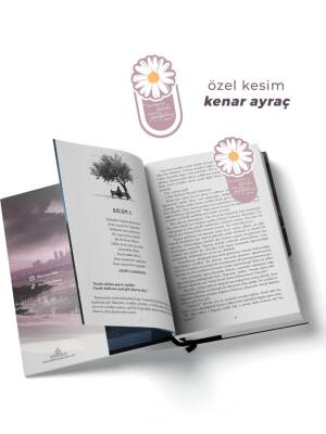 Tozlu Pembe 1 – Ciltli Hediyeli Kutu - 4