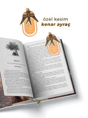 Tozlu Pembe 2 –Tek Kitaplık Kutu Yan Boyamalı - 4