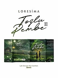 Tozlu Pembe 3 – Yan Boyamalı - 2